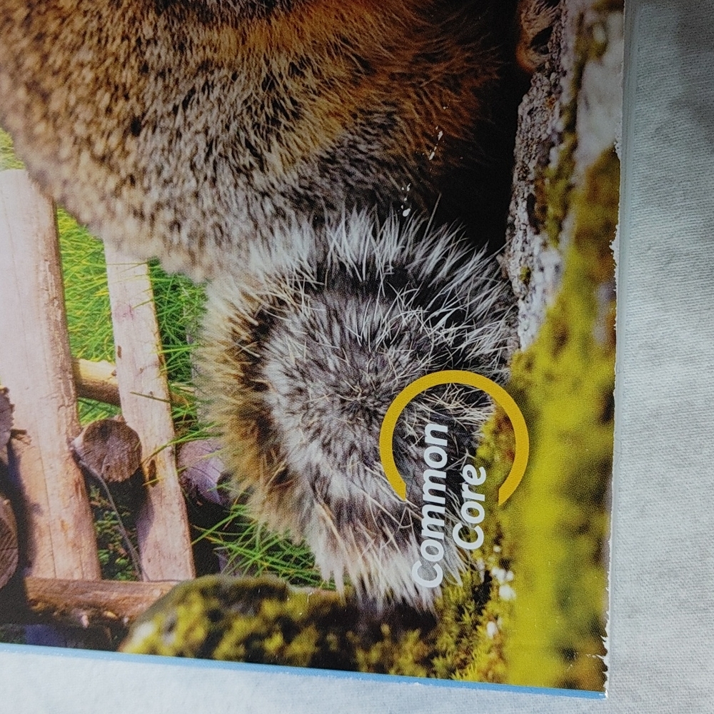 Go Math common core Book volume 2 Workbook - Picture 6 of 7